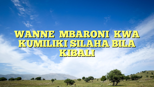 WANNE  MBARONI  KWA KUMILIKI SILAHA BILA KIBALI